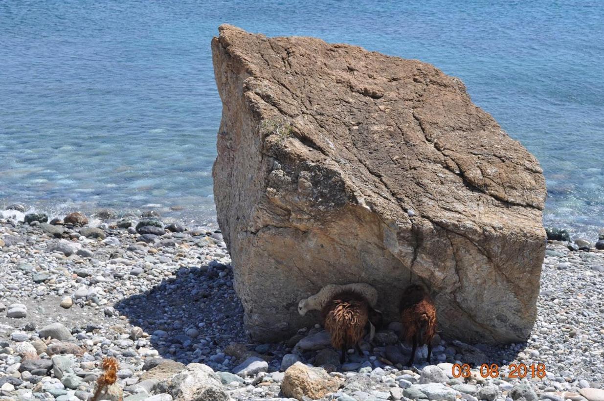 Island Villa Agia Galini Zewnętrze zdjęcie