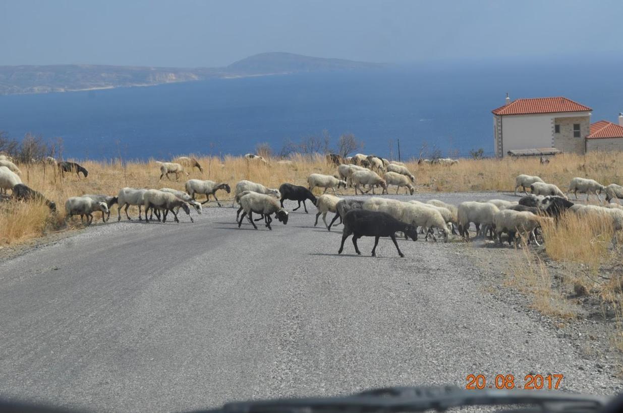 Island Villa Agia Galini Zewnętrze zdjęcie