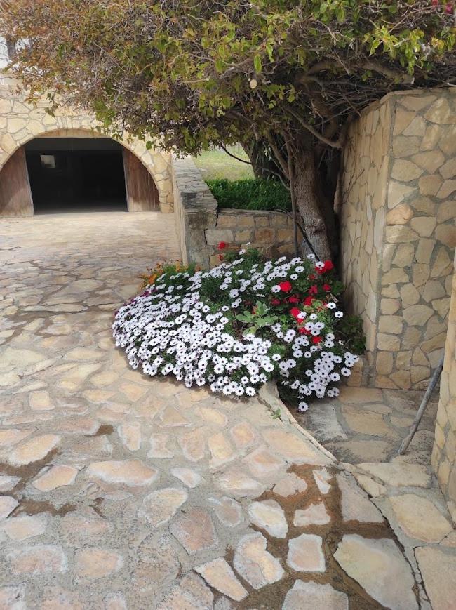 Island Villa Agia Galini Zewnętrze zdjęcie