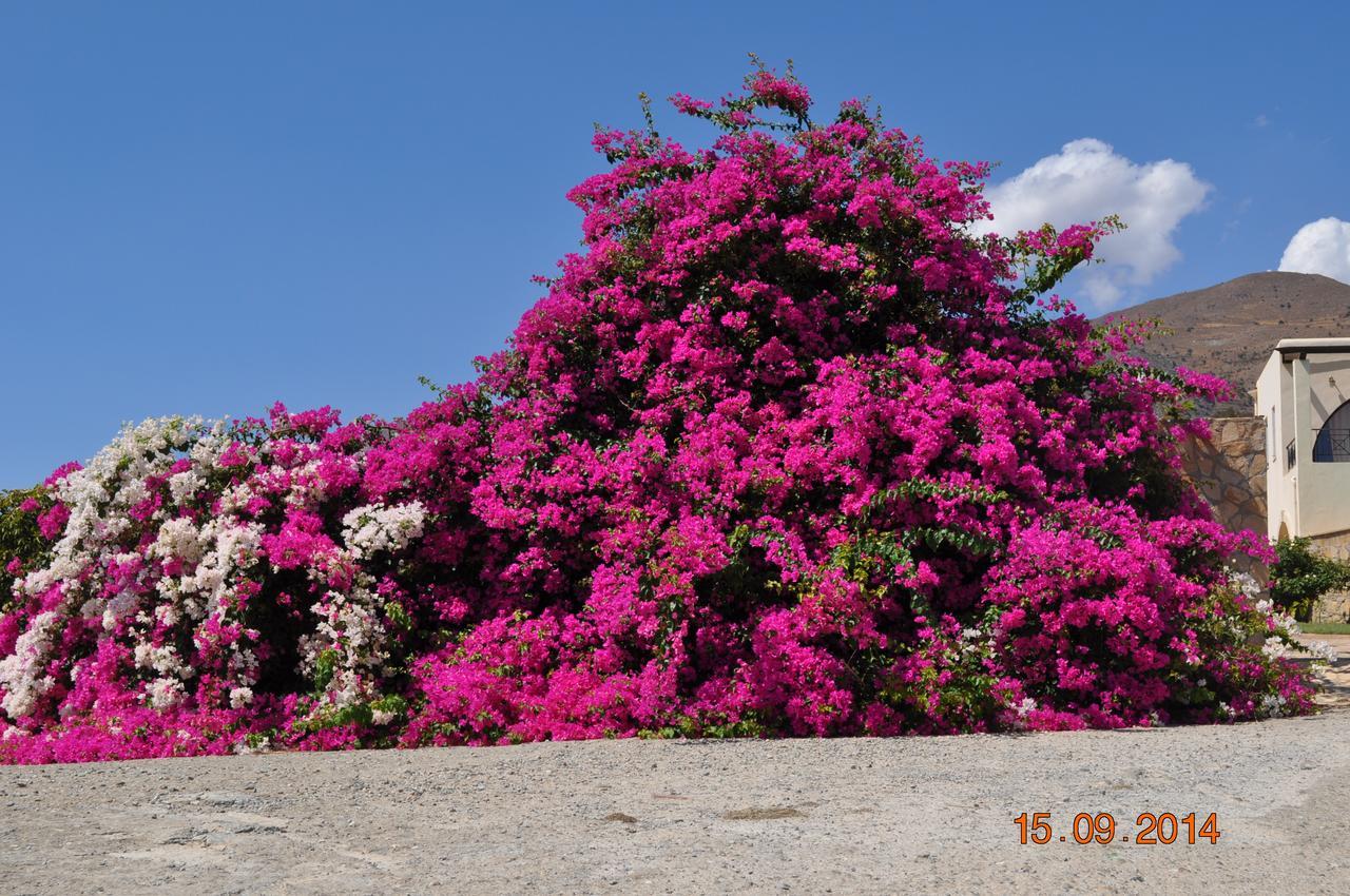 Island Villa Agia Galini Zewnętrze zdjęcie